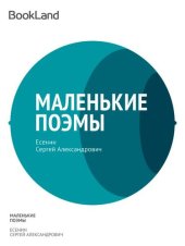 книга Маленькие поэмы