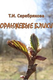 книга ОРАНЖЕВЫЕ БЛИКИ: стихотворения.