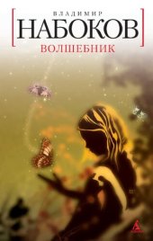 книга Волшебник