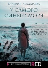 книга У самого синего моря