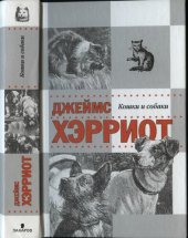 книга Истории о кошках и собаках