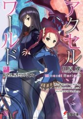 книга Accel World 19: Сила притяжения темной туманности