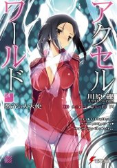 книга Accel World 14: Архангел неистового света