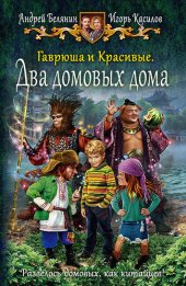 книга Два домовых дома