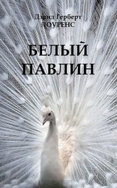 книга Белый павлин