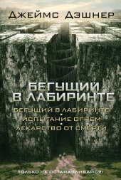 книга Бегущий в Лабиринте (сборник)