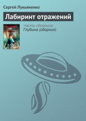 книга Лабиринт отражений