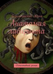 книга Анатомия лабиринта. Детективный роман