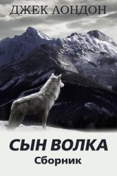 книга Сын Волка