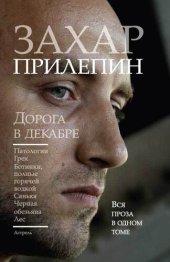 книга Дорога в декабре (сборник)