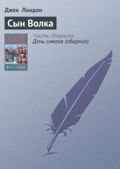 книга Сын Волка