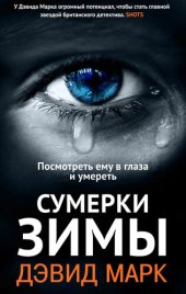 книга Сумерки зимы