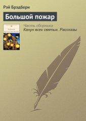 книга Большой пожар