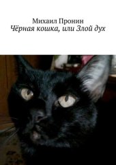 книга Чёрная кошка, или Злой дух