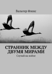 книга Странник между двумя мирами: Случай на войне