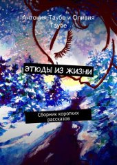 книга Этюды из жизни