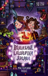 книга Мастерская чудес