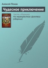 книга Чудесное приключение