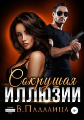 книга Сокрушая Иллюзии