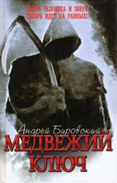 книга Медвежий ключ