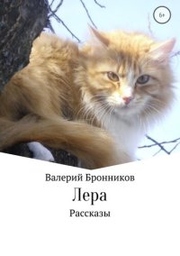 обложка Лера. Сборник рассказов