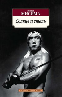 обложка Солнце и сталь