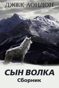 обложка Сын Волка