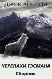 обложка Черепахи Тэсмана. Сборник рассказов