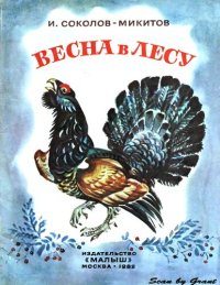 обложка Весна в лесу